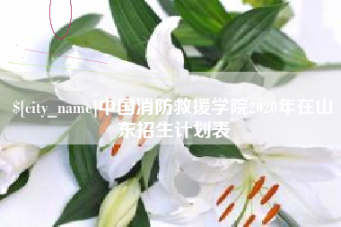 宣城中国消防救援学院2020年在山东招生计划表