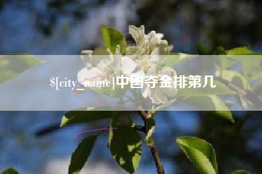 宣城中国夺金排第几