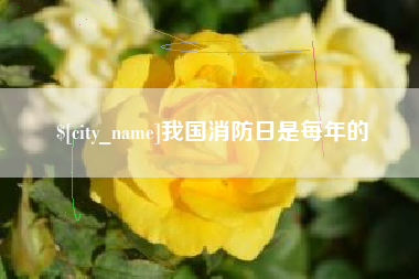 宣城我国消防日是每年的
