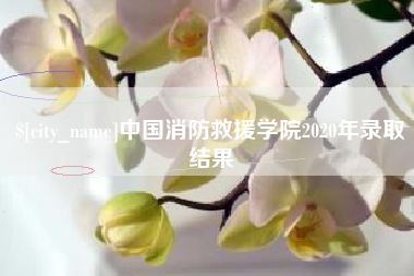 宣城中国消防救援学院2020年录取结果