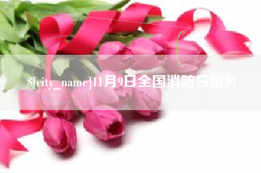 宣城11月9日全国消防日图片