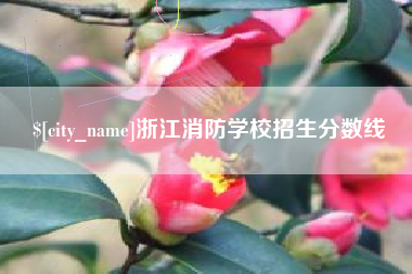 宣城浙江消防学校招生分数线