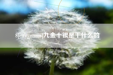 宣城九金十银是干什么的