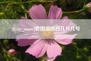 宣城我国消防日几月几号