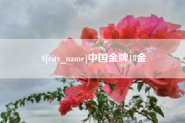 宣城中国金牌18金