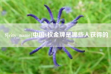 宣城中国6枚金牌是哪些人获得的