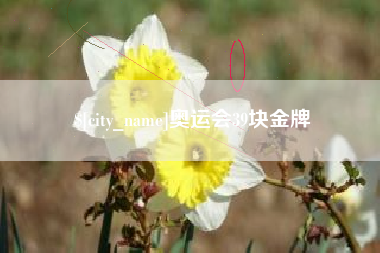 宣城奥运会39块金牌