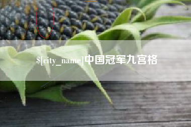 宣城中国冠军九宫格
