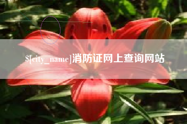 宣城消防证网上查询网站