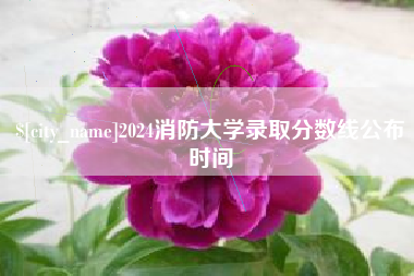 宣城2024消防大学录取分数线公布时间