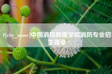 宣城中国消防救援学院消防专业招生简章