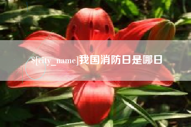 宣城我国消防日是哪日