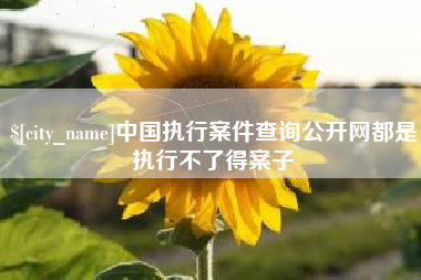 宣城中国执行案件查询公开网都是执行不了得案子