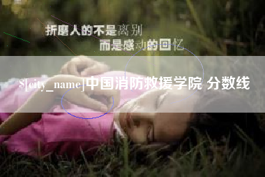宣城中国消防救援学院 分数线