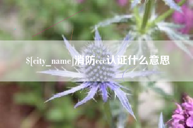 宣城消防ccc认证什么意思
