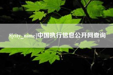宣城中国执行信息公开网查询