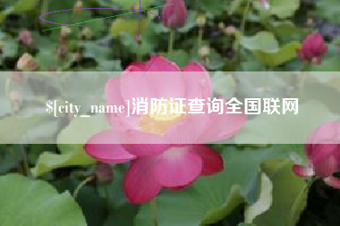 宣城消防证查询全国联网
