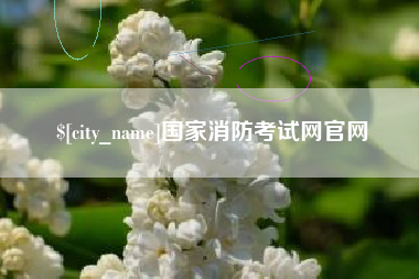 宣城国家消防考试网官网