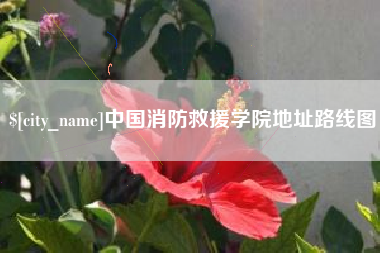宣城中国消防救援学院地址路线图