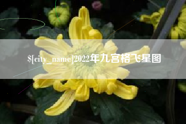 宣城2022年九宫格飞星图