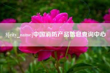 宣城中国消防产品信息查询中心