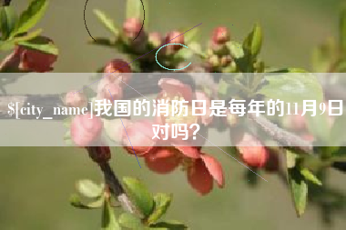 宣城我国的消防日是每年的11月9日对吗？