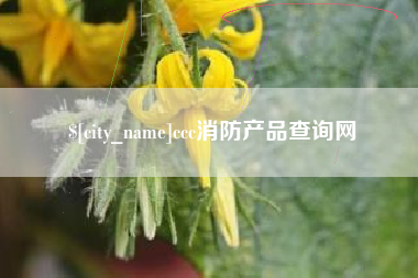 宣城ccc消防产品查询网