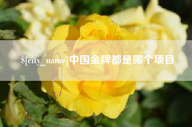 宣城中国金牌都是哪个项目