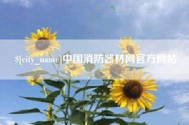 宣城中国消防器材网官方网站