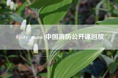 宣城中国消防公开课回放