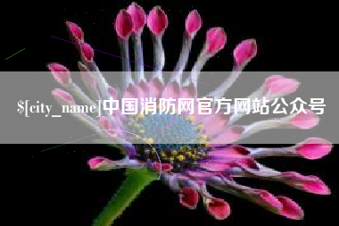 宣城中国消防网官方网站公众号