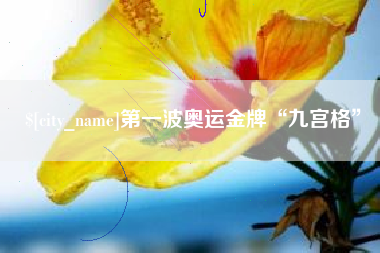 宣城第一波奥运金牌“九宫格”