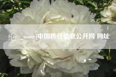 宣城中国执行信息公开网 网址