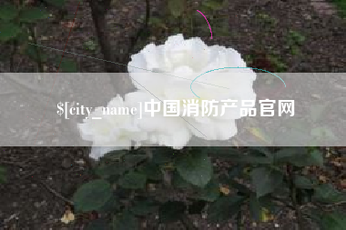宣城中国消防产品官网