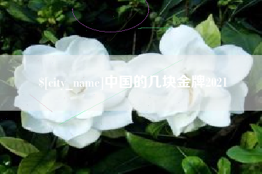 宣城中国的几块金牌2021