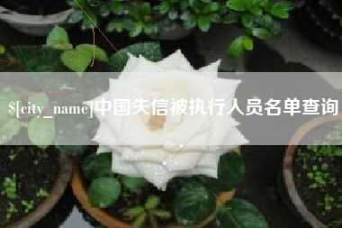 宣城中国失信被执行人员名单查询