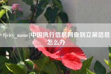 宣城中国执行信息网查到立案信息怎么办