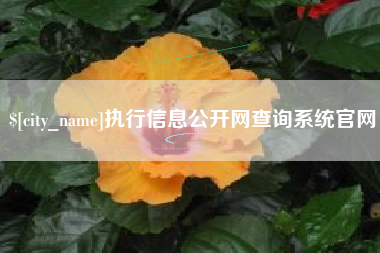 宣城执行信息公开网查询系统官网