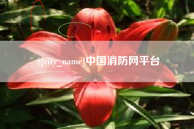 宣城中国消防网平台