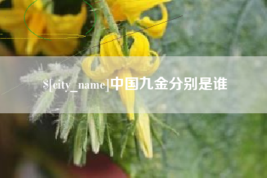 宣城中国九金分别是谁
