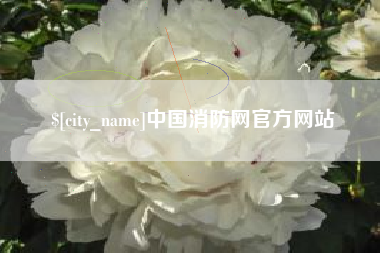 宣城中国消防网官方网站