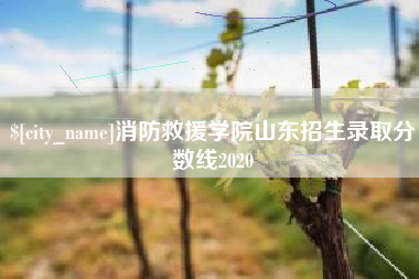 宣城消防救援学院山东招生录取分数线2020