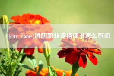 宣城消防职业资格证书怎么查询