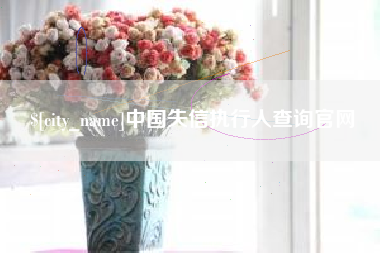 宣城中国失信执行人查询官网