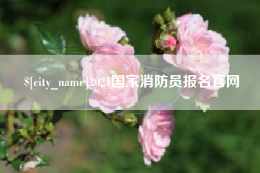 宣城2021国家消防员报名官网