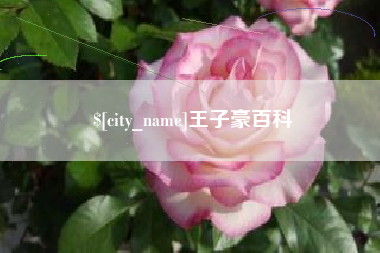 宣城王子豪百科