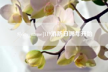 宣城119消防日哪年开始