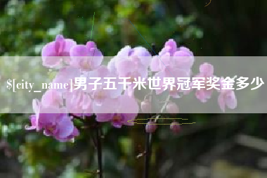 宣城男子五千米世界冠军奖金多少