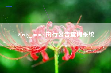 宣城执行公告查询系统