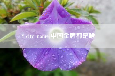 宣城中国金牌都是啥